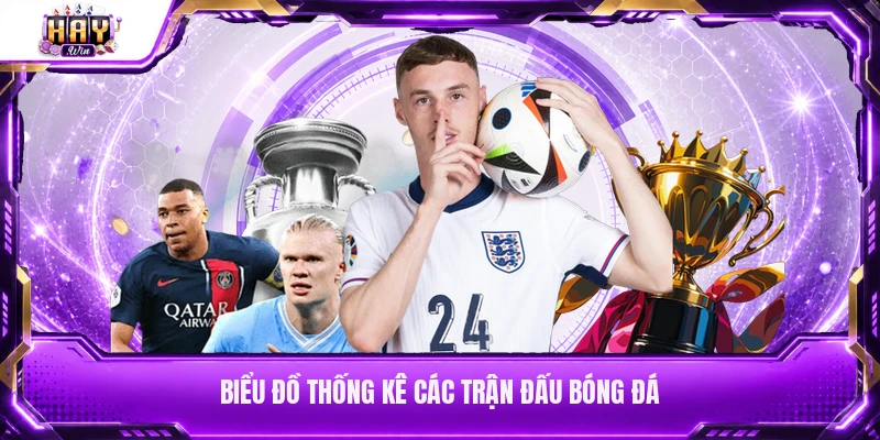 Biểu đồ thống kê các trận đấu bóng đá