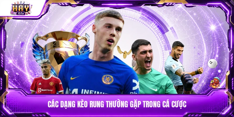 Các dạng kèo rung thường gặp trong cá cược