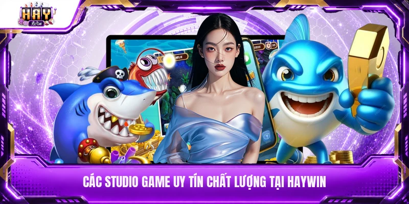 Các studio game uy tín chất lượng tại Haywin
