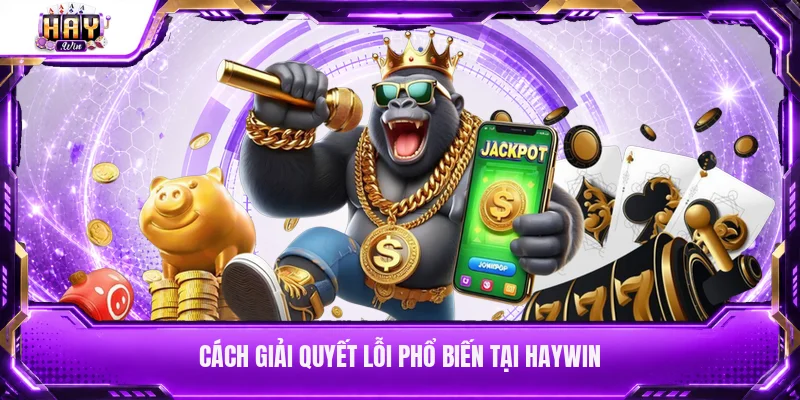 Cách giải quyết lỗi phổ biến tại Haywin