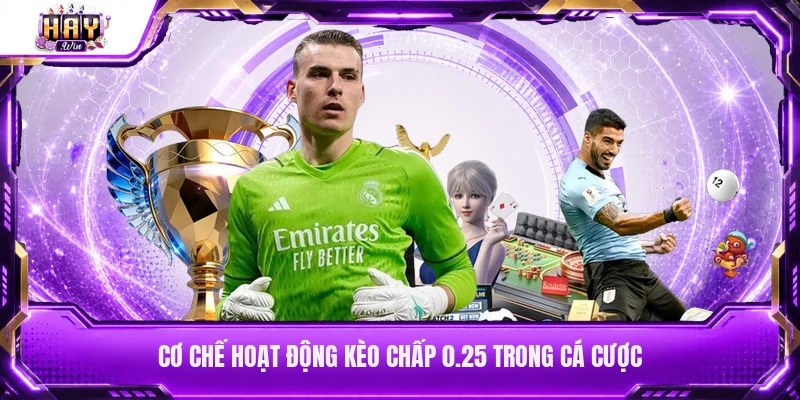 Cơ chế hoạt động kèo chấp 0.25 trong cá cược