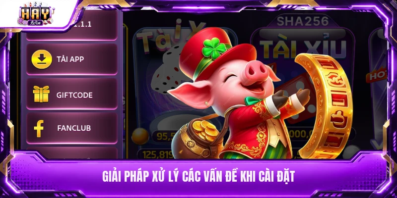 Giải pháp xử lý các vấn đề khi cài đặt