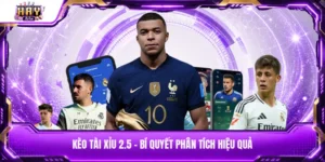 Kèo tài xỉu 2.5