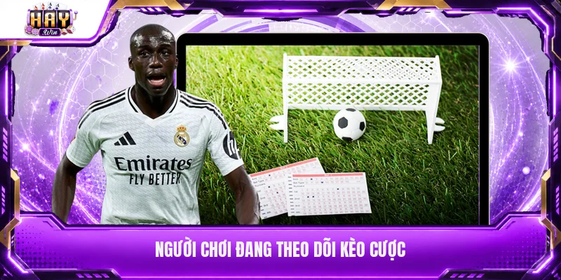Người chơi đang theo dõi kèo cược