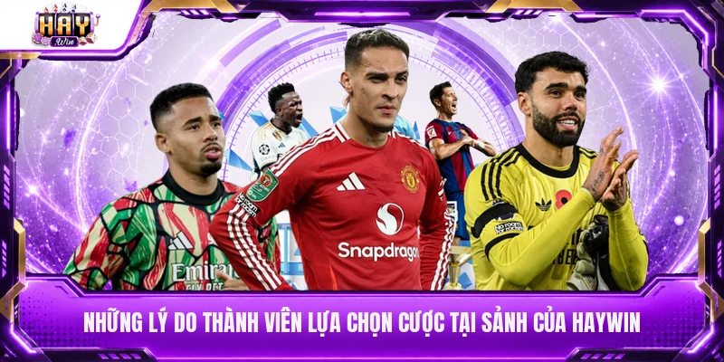 Những lý do thành viên lựa chọn cược tại sảnh của Haywin