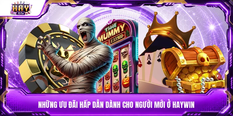 Những ưu đãi hấp dẫn dành cho người mới ở Haywin