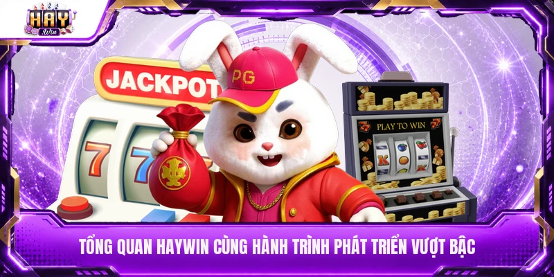 Tổng quan Haywin cùng hành trình phát triển vượt bậc